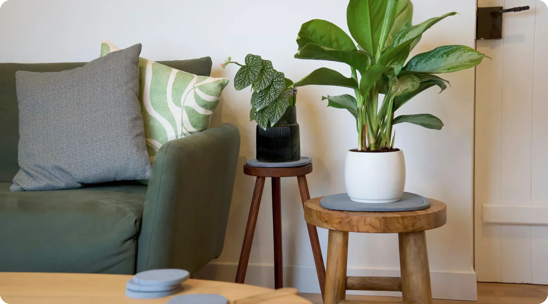 Diatomite Beyond the Bathroom: Kitchen Dish Mats, Coasters and Pet Bowl Mats