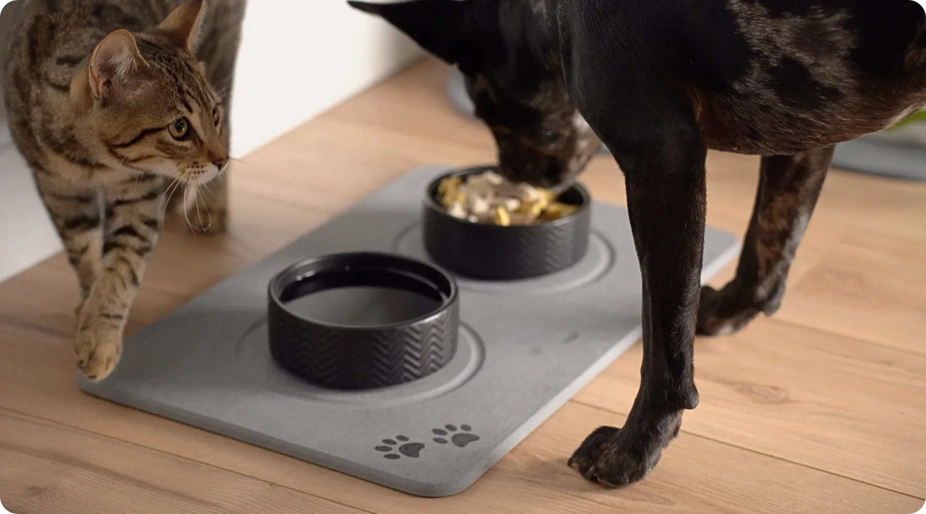 Puddle‑Proof Pet Station: Clean Bowls, Dry Floors, Happy Tails